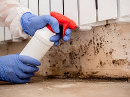 Best Air Quality Testing for Mold Spores  in Lakemoor, IL